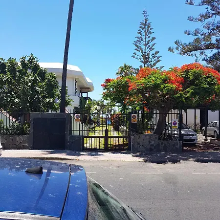 Algas 1 Etage * Maspalomas (Gran Canaria)